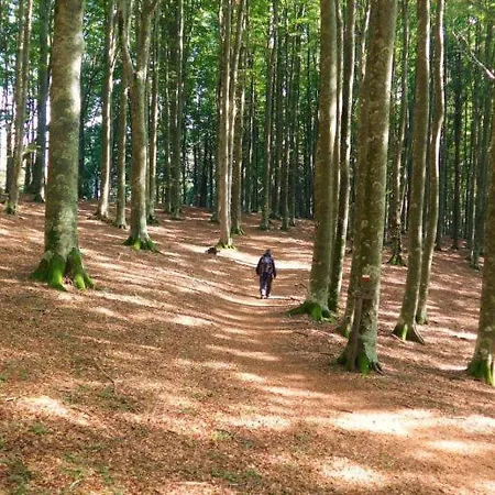 Gli Aristogatti Appartamento Campo Tizzoro