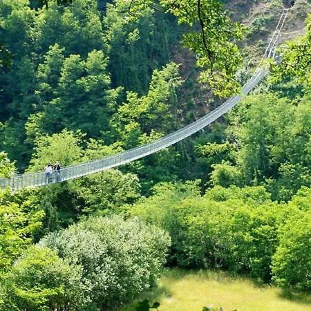 Gli Aristogatti Campo Tizzoro