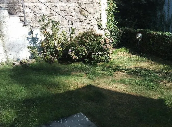 Gli Aristogatti *