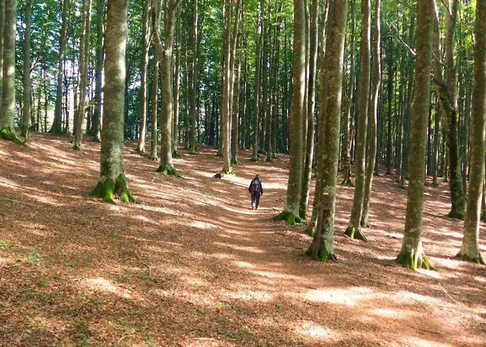 Gli Aristogatti Apartmán Campo Tizzoro